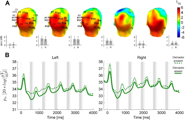 Figure 3.5. The distractor effect on alpha power.  (A) Head plots for t-values of the distractor  modulation  (distractor present  minus  absent)  of  anticipatory  alpha  activity  in  prestimulus  time  windows  before  S2  to  S6