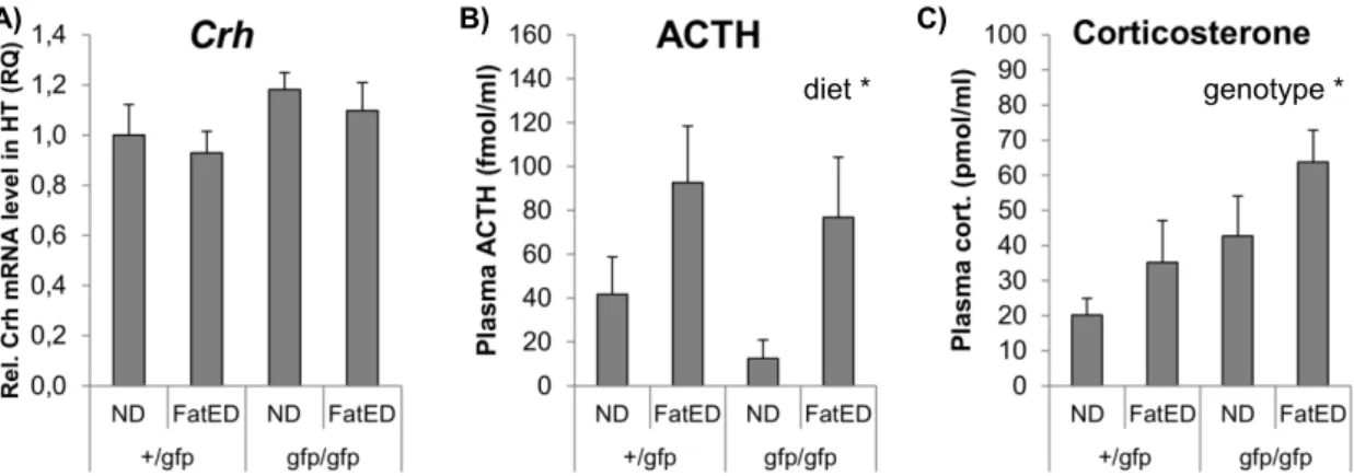 Figure  13.  Effect  of  fat-enriched  diet  on  the  activity  of  the  hypothalamo-pituitary- hypothalamo-pituitary-adrenocortical axis 