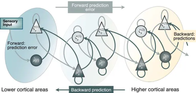 Figure 1.2. One specific example of a recurrent neural network model is the predictive coding model  developed  by  Friston  [67]