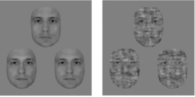 Figure 2.1. Stimuli of the psychophysics experiment. Exemplar face triplet for the intact (left) and the  55% phase noise (right) stimulus condition presented in the 3AFC identity-discrimination task