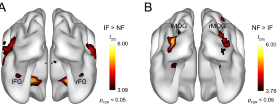Figure  2.3.  Results  of  the  whole-brain  random-effects  analysis.  Bilateral  areas  of  the  fusiform  gyrus  showed  significantly  lower  activation  for  noisy  relative  to  intact  faces  (A),  while  larger  responses  to  noisy  than  intact  