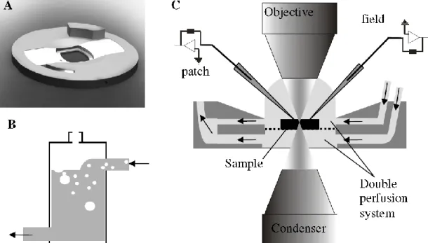 Figure 10. A) The schematic of the double perfusion chamber. B) The bubble catcher’s schematic (it is connected in  the tubes between the oxygenated ACSF bottle, and the double flow chamber)