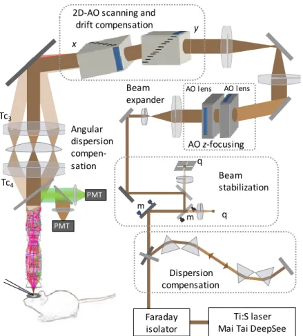 Figure 10   Schematics of the 3D AO microscope setup. 