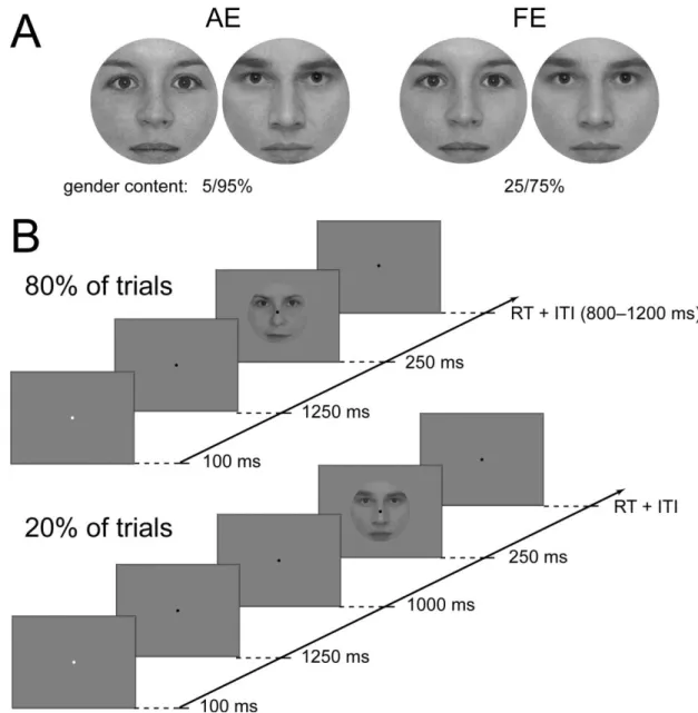 Figure 3.1. Stimuli and experimental protocol. (A) Typical gender composition of stimuli presented into  the  amblyopic  (left  panel)  and  fellow  eye  (right  panel)
