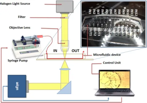 Figure 3.11: Schematic image of the parasite filtration platform. The microfluidic devices are mounted on an inverted microscope