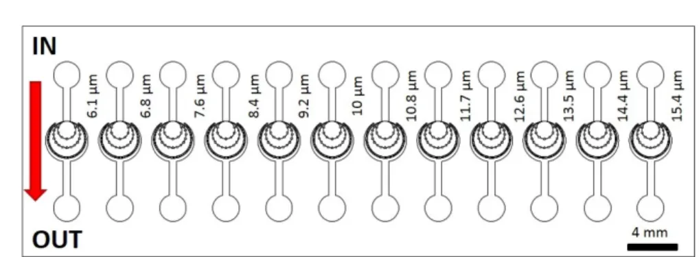 Figure 3.9: Overview of the microfluidic device, which integrate 12 different Flow Through Nematode Filters