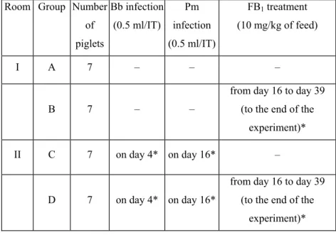 Table 3: Arrangement of treatment groups in Experiments 2 