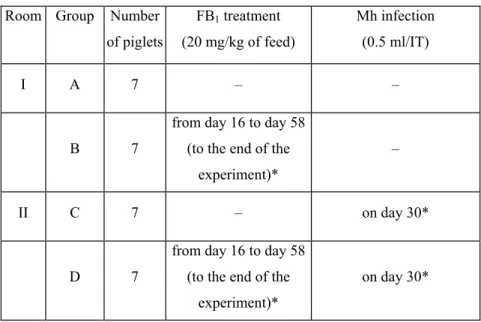Table 4: Arrangement of treatment groups in Experiment 3 