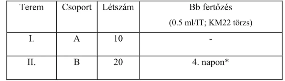1. táblázat: Kezelési csoportok elrendezése a 1. kísérletben  Terem Csoport  Létszám  Bb  fertőzés     