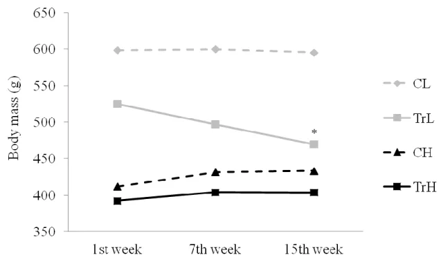 Figure 9: Changing of the body mass at control and trained groups  Control LCR (CL), Trained LCR (TrL) 