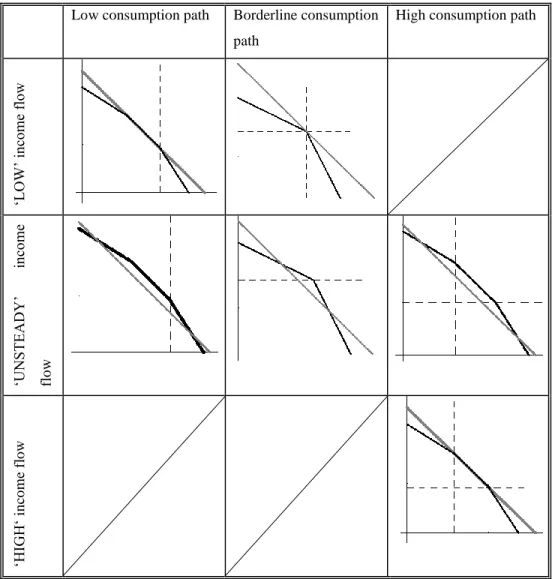 Figure  4.3.Budget  constraints  after  the  introduction  of  progressive  labour  income  tax  and  consumption tax in case of different consumption and income paths (own design based on own  calculations )   