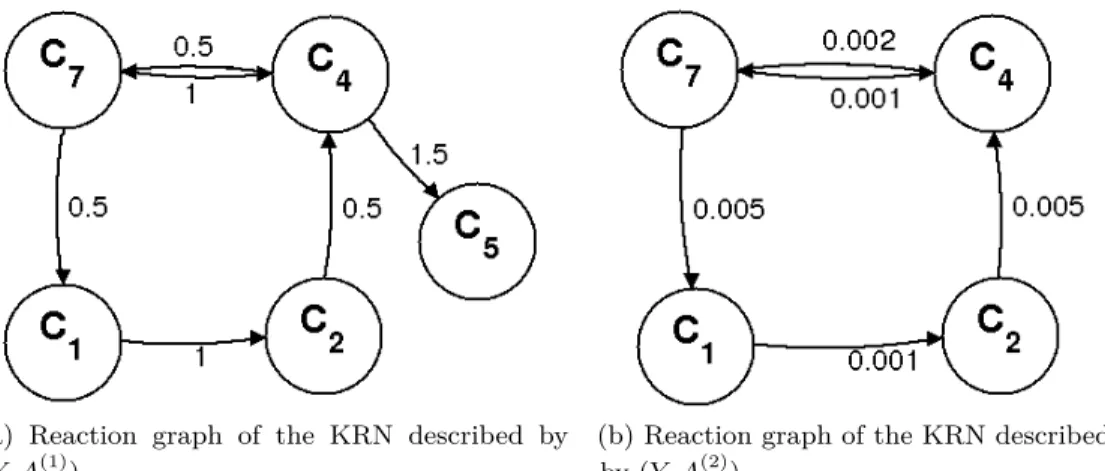 Figure 3.2: Linearly conjugate realizations of a KRN. C i refers to the complex defined in the ith column of Y 