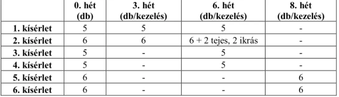 2. táblázat: A mintaszámok alakulása az egyes kísérletekben 