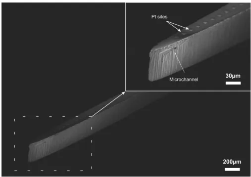 Figure 4.15: Hollow silicon microprobes realised by deep reactive ion etching and  containing both fluidic ports and electrical recording sites 