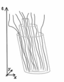 Figure 4: Bolution: an assignment of bolution-paths to all levels of precision.