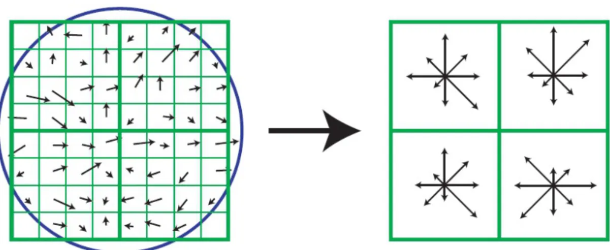 Figure 2.4: Keypoint descriptor extraction: The gradient histogram is on the left, the calculated 128-dimensional descriptor is on the right.