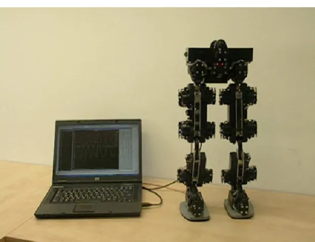 Figure 2.13: Implemented 11 DOF biped robot.