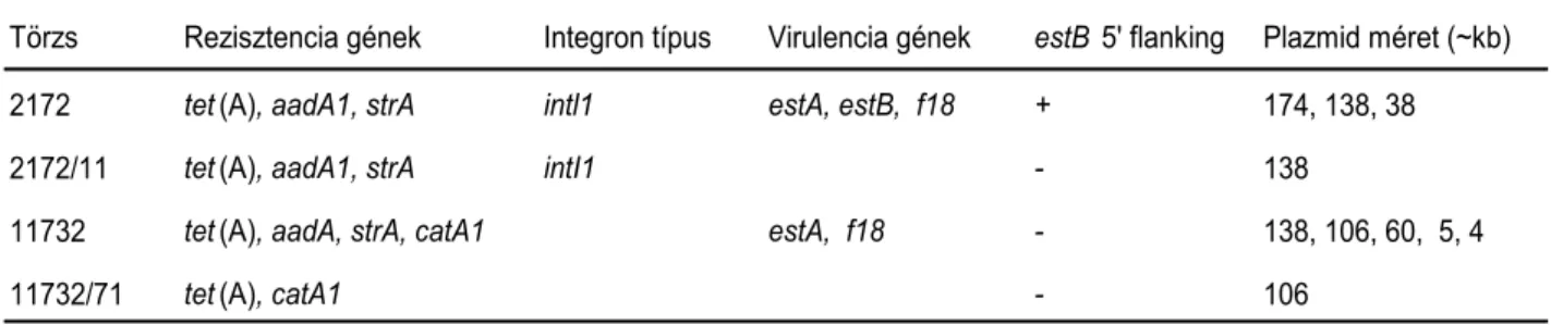 4. ábra.  A  magyar (A.) és  cseh (B.) F18 + ETEC  törzsek tetraciklin  rezisztencia tet(A) gént hordozó  plazmidjainak,  valamint  a  magyar  törzs  1-es  típusú  integronjának  (GenBank: