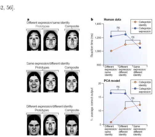 Figure 1.2: PCA model. Principal component analysis (PCA) is a form of lin- lin-earized compact coding that seeks to explain the relationships among many variables in terms of a smaller set of principal components (PCs)