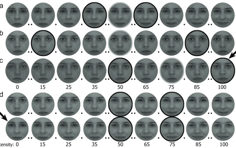 Figure 2.1: Exemplar (a) happy, (b) fearful and (c) identity morphed face sets used in Experiment 1-3