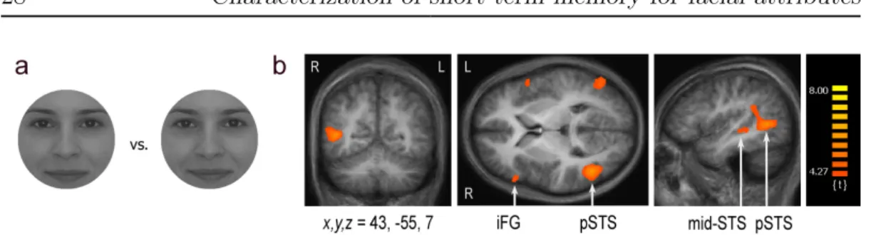 Figure 2.7: Stimuli and results of Experiment 4. (a) An exemplar face pair taken from the female composite face set which differs slightly along both the facial  iden-tity and emotion axis