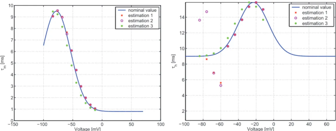 Figure 3.4: Results of the parameter estimation process for τ m (V i ) and τ h (V i ) at various voltage step protocols