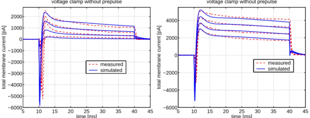 Figure 4: Measured and simulated voltage clamp traces