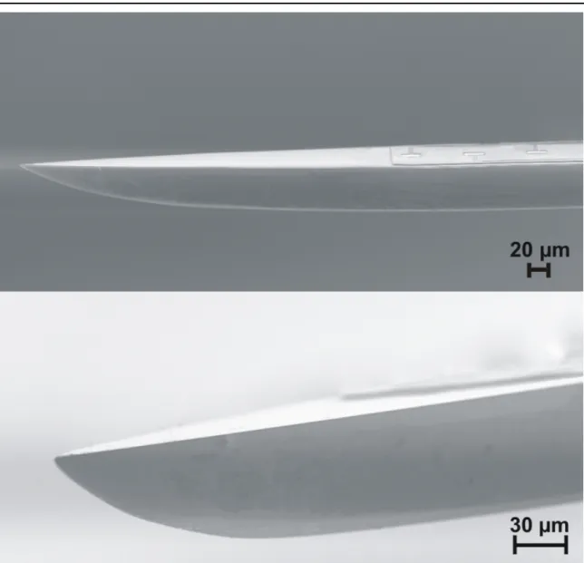 Figure 2.7.  Scanning Electron Microscopic (SEM) pictures of the silicon probe. Upper part of the figure  shows the probe tip and 3 out of 24 Pt recording sites