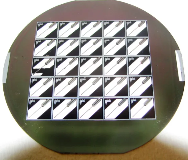 Figure 2.8.  Light microscopic picture of a wafer with 25 probes in holder frames. Note that wet etching is  not always immaculately accomplished resulting in residuals around the probe shaft (third row in the first  column from left)