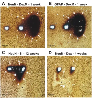 Figure 5.  Effects of bleeding during implantation after 1, 4 and 12 week of  insertion