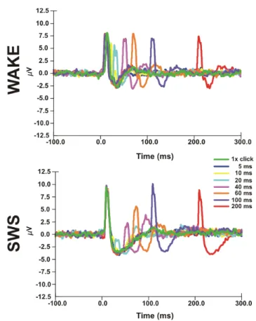 Figure 9.  MUAs elicited in response to paired acoustic stimulus in SWS  and wakefulness