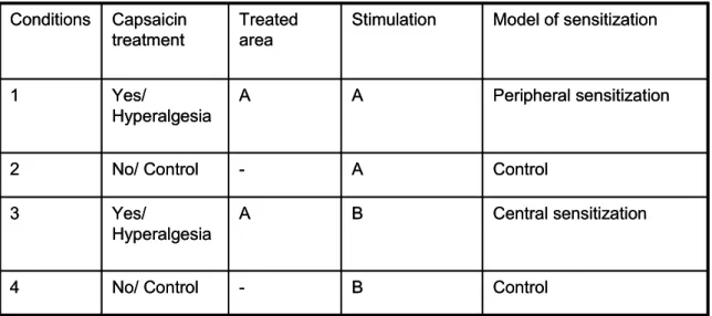 Figure 6.3 Procedure of treatment-session. 