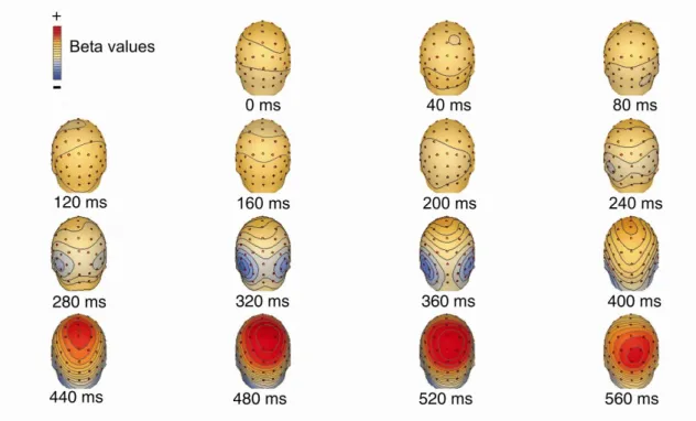 Figure 2.7 Spatial distribution of motion strength dependent modulation of the ERP responses: scalp maps  of beta values related to task-relevant motion before training (the scalp map was similar to the map  obtained in response to task-irrelevant motion.)