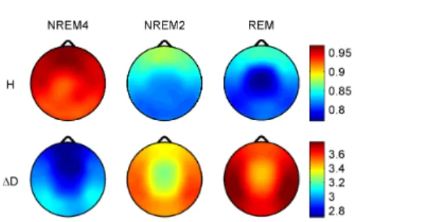 Figure 2.  Topographic distributions of group-level medians of the fractal  measures. 