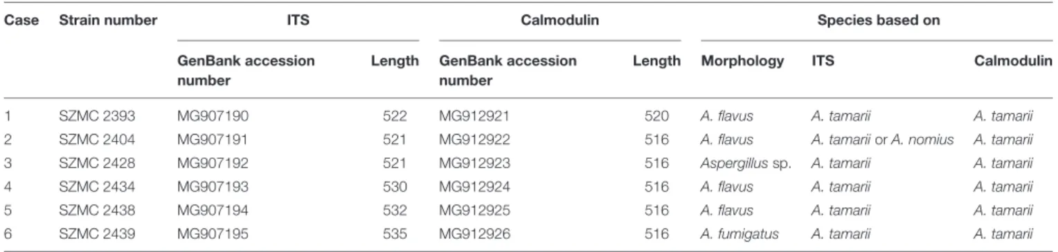 TABLE 1 | Results of the identification of Aspergillus spp. from keratitis.