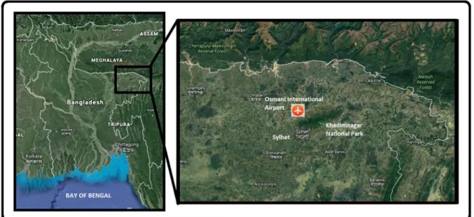 Figure 1: First area of interest: Khadimnagar National Park in NE Bangladesh. 