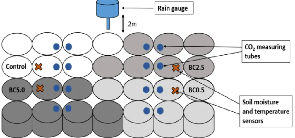 Figure 1. Schematics of the experimental setup. 