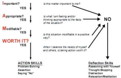 Figure 1. The main decision making skill of the WLS.® 