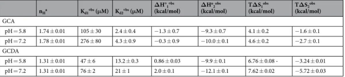 Table 1.  Stepwise binding parameters for the interaction of human I-BABP with GCA and GCDA at pH  = 5.8  and pH = 7.2 (20 mM potassium phosphate, 135 mM KCl, 10 mM NaCl, 0.05% NaN 3 , 25 °C)