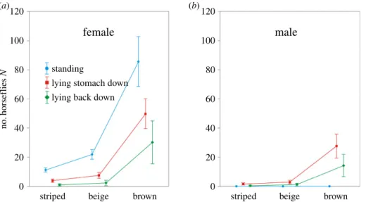 Figure 5. Number of trapped horseflies on different human models. Weighted means of the numbers of female and male horseflies trapped by the sticky white-striped brown, beige and brown human models (electronic supplementary material, table S1)