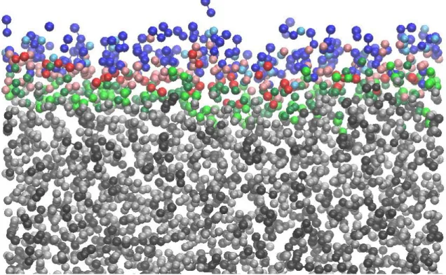 Figure 1  Horváth et al. 