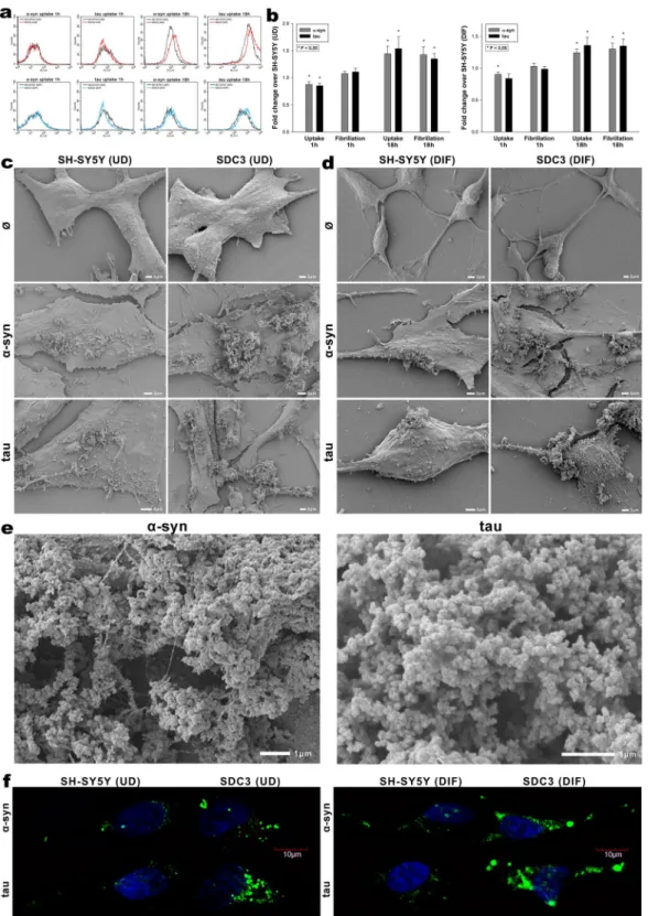 Figure 8.  Effect of SDC3 overexpression on  α−syn and tau fibrillation and uptake in SH-SY5Y cells