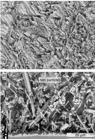 Figure 10: SEM micrographs of SAC-Mn07 solder samples solidified with 0.3 K/s  cooling rate: a) close to the solder-substrate interface; b) far from it 