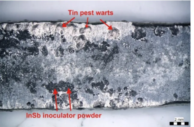 Figure  1:  Tin  pest  warts  on  the  surface  of  Sn99Ag0.3Cu0.7  alloy  inoculated  with  InSb  after 10 weeks of storage at -10°C