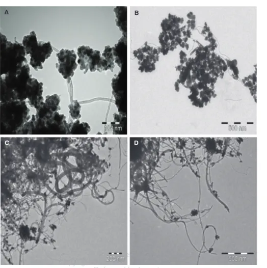 Figure 4. TEM images of ZnO/MWCNT nanocomposites applying EtOH (A, B) and water (C, D) as solvent.