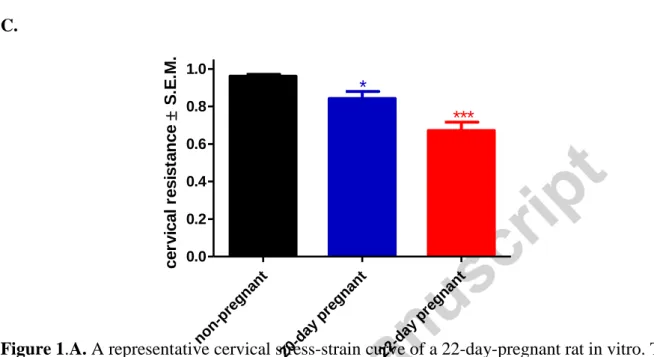 Figure 1.A. A representative cervical stress-strain curve of a 22-day-pregnant rat in vitro
