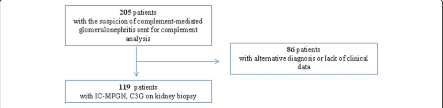 Fig. 4 Flow chart of the enrolled patients