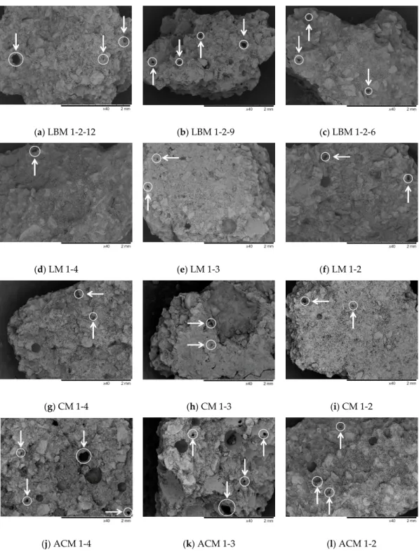 Figure 3. Characteristic SEM images of mortar samples recorded at ×40 magnification. (a) sample of  mortar type LBM 1-2-12; (b) sample of mortar type LBM 1-2-9; (c) sample of mortar type LBM 1-2-6; 