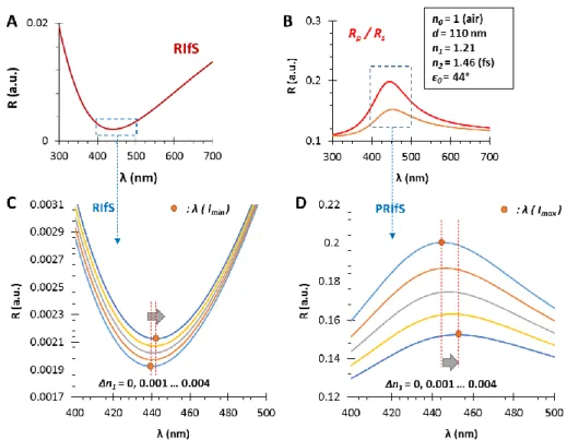 Figure  10.  The  calculated  reflectometric  interference  curves  for  (A)  the  conventional  and  (B)  the  polarization  method,  in  the  case  of  an  n 1 =1.21  and  d=110  nm  thin  film  on  fused  silica  substrate  (n 2 =1.46), in air, by apply
