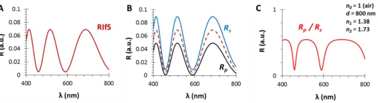 Figure  2.  The  calculated  reflectance  curves  from  a  thin  film  with  a  thickness  d  =  800  nm  and  an  effective  refractive  index  n 1  =  1.38  (using  SF10  substrate  with  n 2  =  1.7,  in  air,  ε 0  =  35° ):  (A)  The  conventional ref